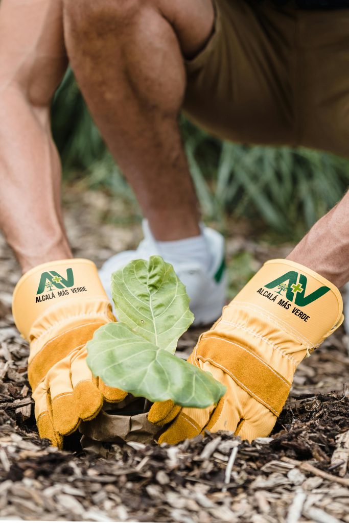 plan-de-comunicación