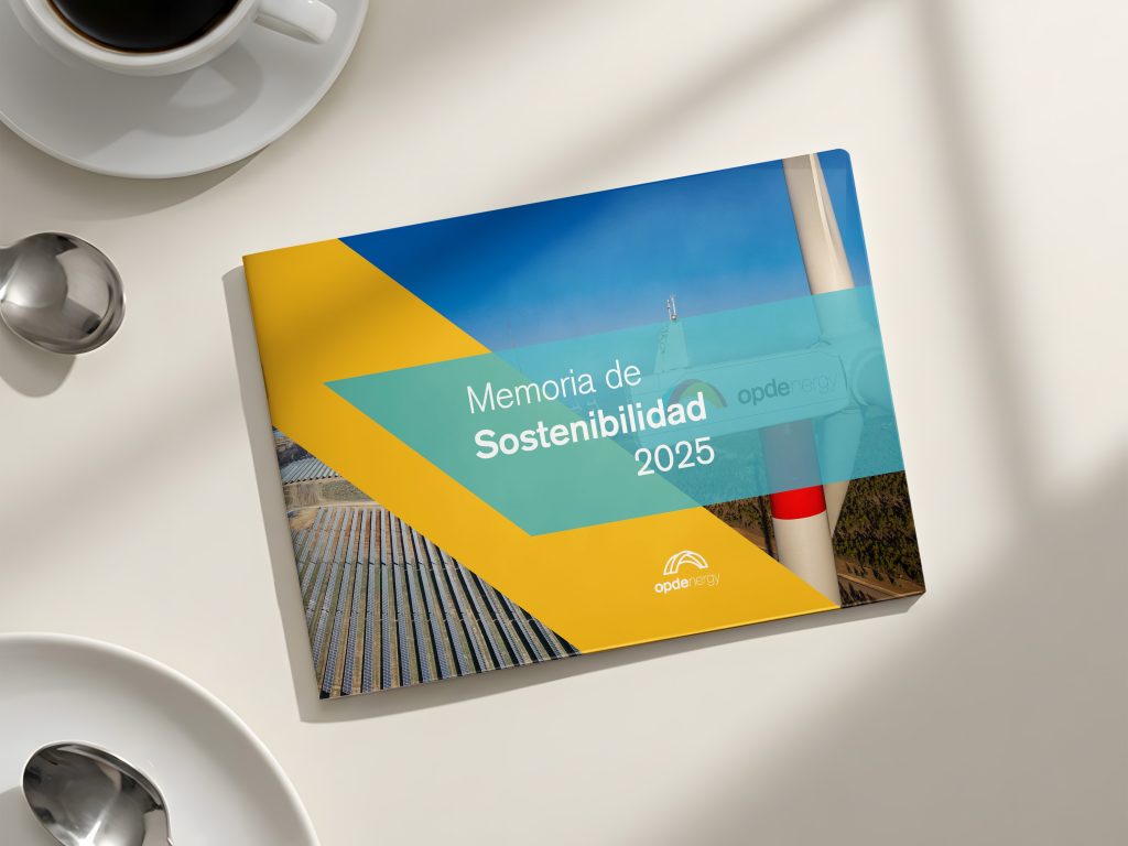 Ejemplo de maquetación de EINF para OPD Energy